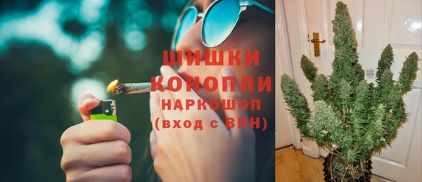 прущие грибы Нефтегорск