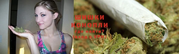 прущие грибы Нефтегорск