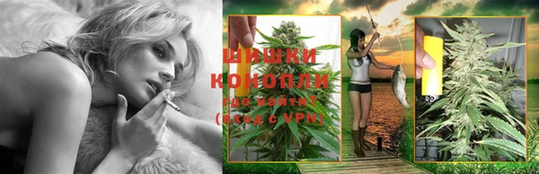 мдпв Краснослободск