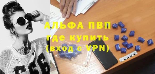 PSILOCYBIN Болхов