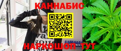 прущие крисы Гатчина