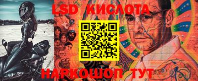 крисы Гагарин