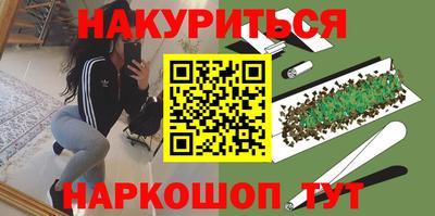 прущие крисы Гатчина