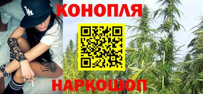 прущие крисы Гатчина